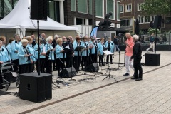 2024 Nijmegen Klinkt